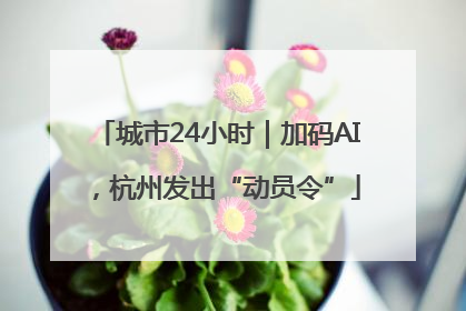 城市24小时｜加码AI，杭州发出“动员令”