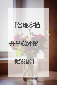 各地多措并举稳外贸促发展