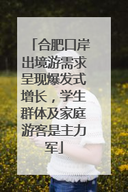合肥口岸出境游需求呈现爆发式增长，学生群体及家庭游客是主力军