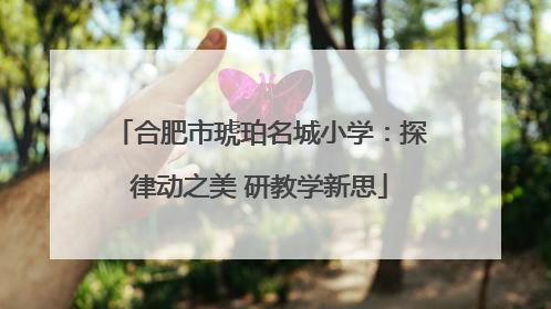 合肥市琥珀名城小学：探律动之美 研教学新思