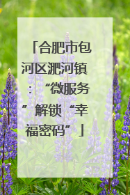 合肥市包河区淝河镇：“微服务”解锁“幸福密码”