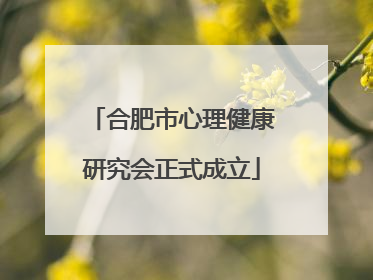 合肥市心理健康研究会正式成立