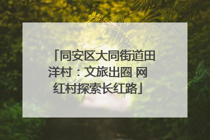 同安区大同街道田洋村：文旅出圈 网红村探索长红路
