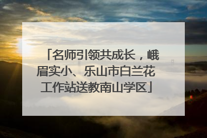 名师引领共成长，峨眉实小、乐山市白兰花工作站送教南山学区