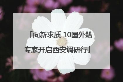向新求质 10国外籍专家开启西安调研行