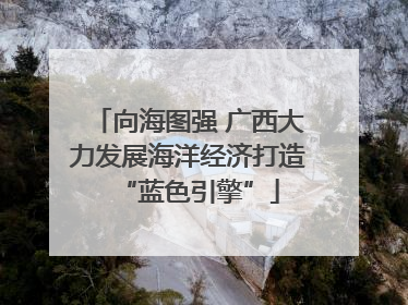 向海图强 广西大力发展海洋经济打造“蓝色引擎”