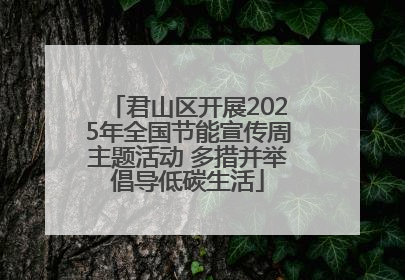 君山区开展2025年全国节能宣传周主题活动 多措并举倡导低碳生活