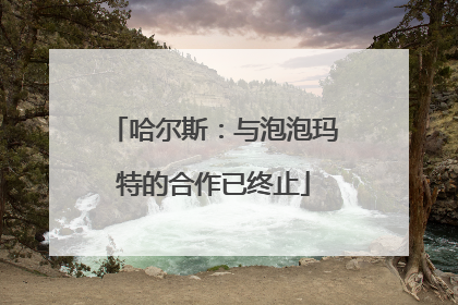 哈尔斯：与泡泡玛特的合作已终止