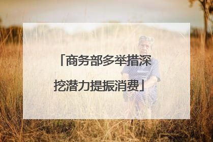 商务部多举措深挖潜力提振消费