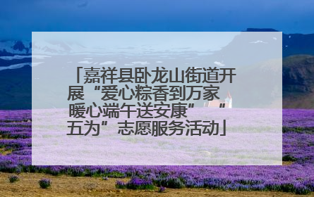 嘉祥县卧龙山街道开展“爱心粽香到万家 暖心端午送安康” “五为”志愿服务活动
