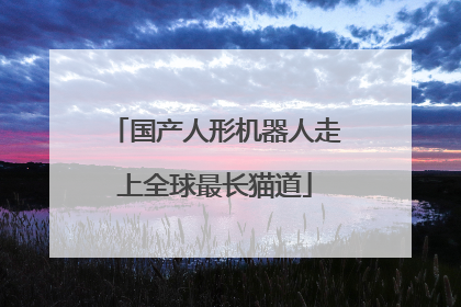国产人形机器人走上全球最长猫道