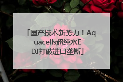 国产技术新势力！Aquacells超纯水EDI打破进口垄断