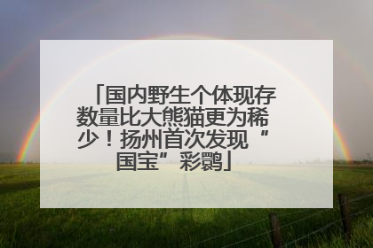 国内野生个体现存数量比大熊猫更为稀少！扬州首次发现“国宝”彩鹮