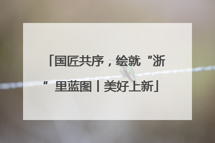 国匠共序，绘就“浙”里蓝图丨美好上新