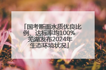 国考断面水质优良比例、达标率均100% 芜湖发布2024年生态环境状况
