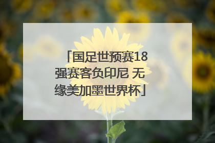 国足世预赛18强赛客负印尼 无缘美加墨世界杯