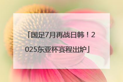 国足7月再战日韩！2025东亚杯赛程出炉