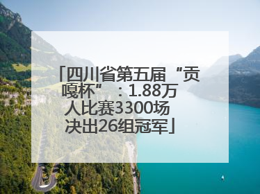 四川省第五届“贡嘎杯”：1.88万人比赛3300场 决出26组冠军