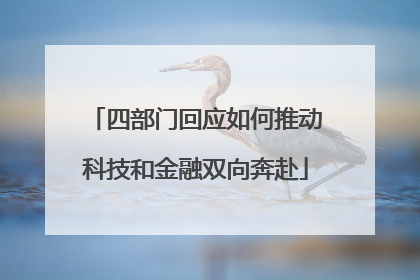 四部门回应如何推动科技和金融双向奔赴