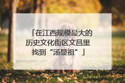 在江西规模最大的历史文化街区文昌里找到“汤显祖”
