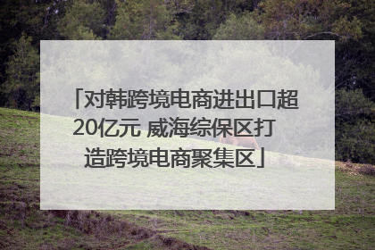 对韩跨境电商进出口超20亿元 威海综保区打造跨境电商聚集区