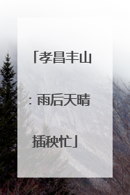 孝昌丰山：雨后天晴插秧忙