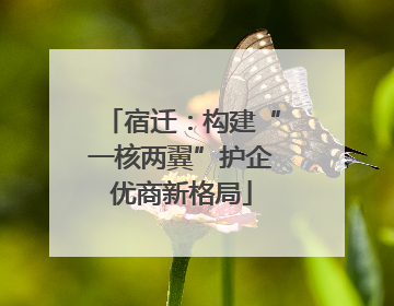 宿迁：构建“一核两翼”护企优商新格局