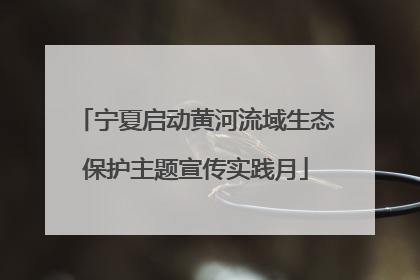 宁夏启动黄河流域生态保护主题宣传实践月