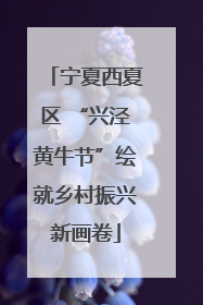 宁夏西夏区 “兴泾黄牛节”绘就乡村振兴新画卷