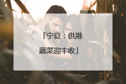 宁夏：供港蔬菜迎丰收