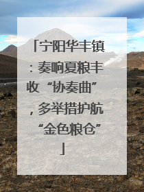 宁阳华丰镇：奏响夏粮丰收“协奏曲”，多举措护航“金色粮仓”
