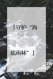 守护“海底雨林”