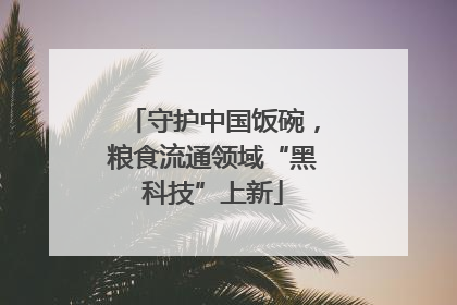 守护中国饭碗，粮食流通领域“黑科技”上新