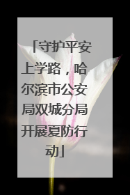 守护平安上学路，哈尔滨市公安局双城分局开展夏防行动