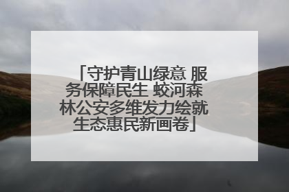 守护青山绿意 服务保障民生 蛟河森林公安多维发力绘就生态惠民新画卷