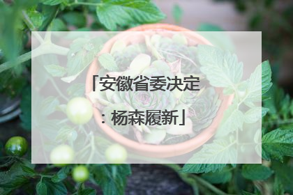 安徽省委决定：杨森履新
