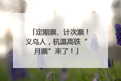 定期票、计次票！义乌人，杭温高铁“月票”来了！