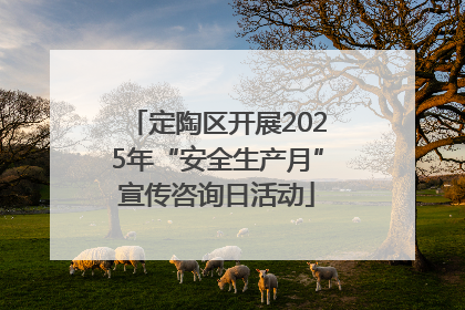 定陶区开展2025年“安全生产月”宣传咨询日活动