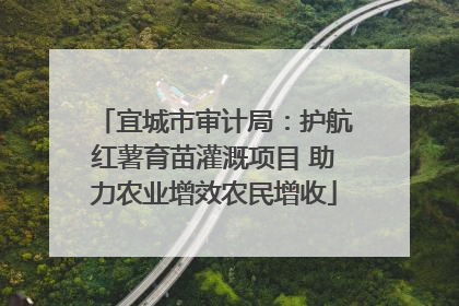 宜城市审计局：护航红薯育苗灌溉项目 助力农业增效农民增收