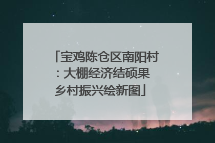 宝鸡陈仓区南阳村：大棚经济结硕果 乡村振兴绘新图
