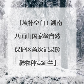 填补空白！湖南八面山国家级自然保护区首次记录珍稀物种宽距兰