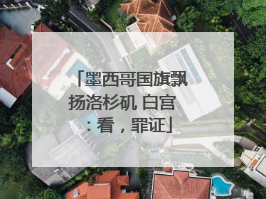 墨西哥国旗飘扬洛杉矶 白宫：看，罪证