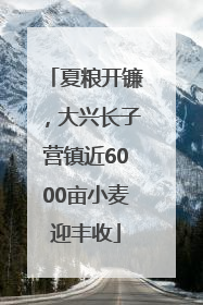 夏粮开镰，大兴长子营镇近6000亩小麦迎丰收