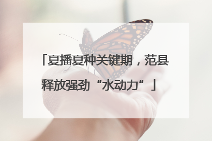 夏播夏种关键期，范县释放强劲“水动力”