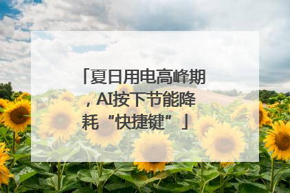 夏日用电高峰期，AI按下节能降耗“快捷键”
