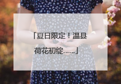夏日限定！温县荷花初绽……