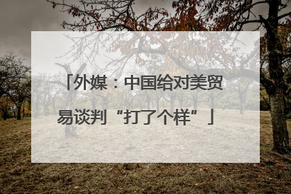 外媒：中国给对美贸易谈判“打了个样”