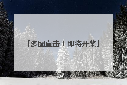 多图直击！即将开桨