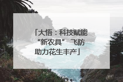 大悟：科技赋能“新农具” 飞防助力花生丰产