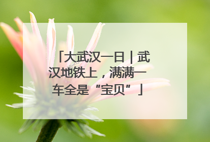 大武汉一日｜武汉地铁上，满满一车全是“宝贝”